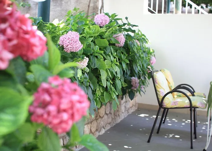 Guesthouse Victoria